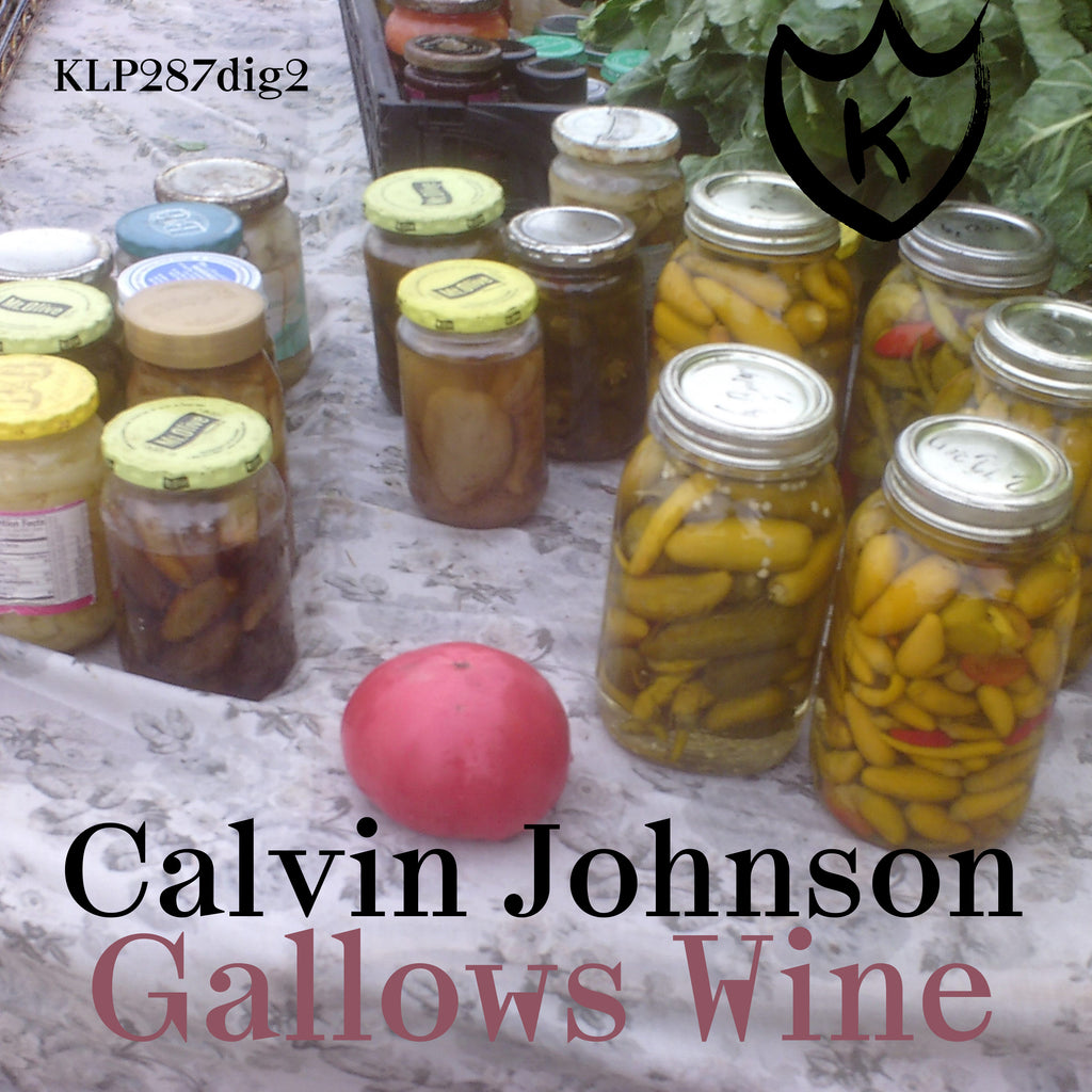 Calvin Johnson new single and video "Gallows Wine"!