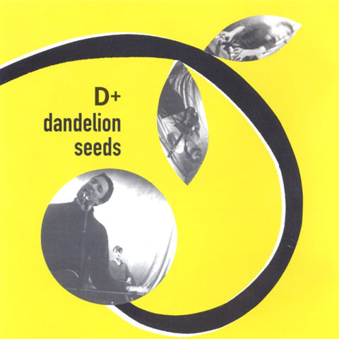 Dandelion Seeds [KLP084]